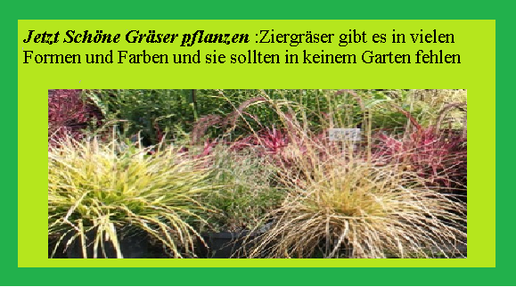 garten